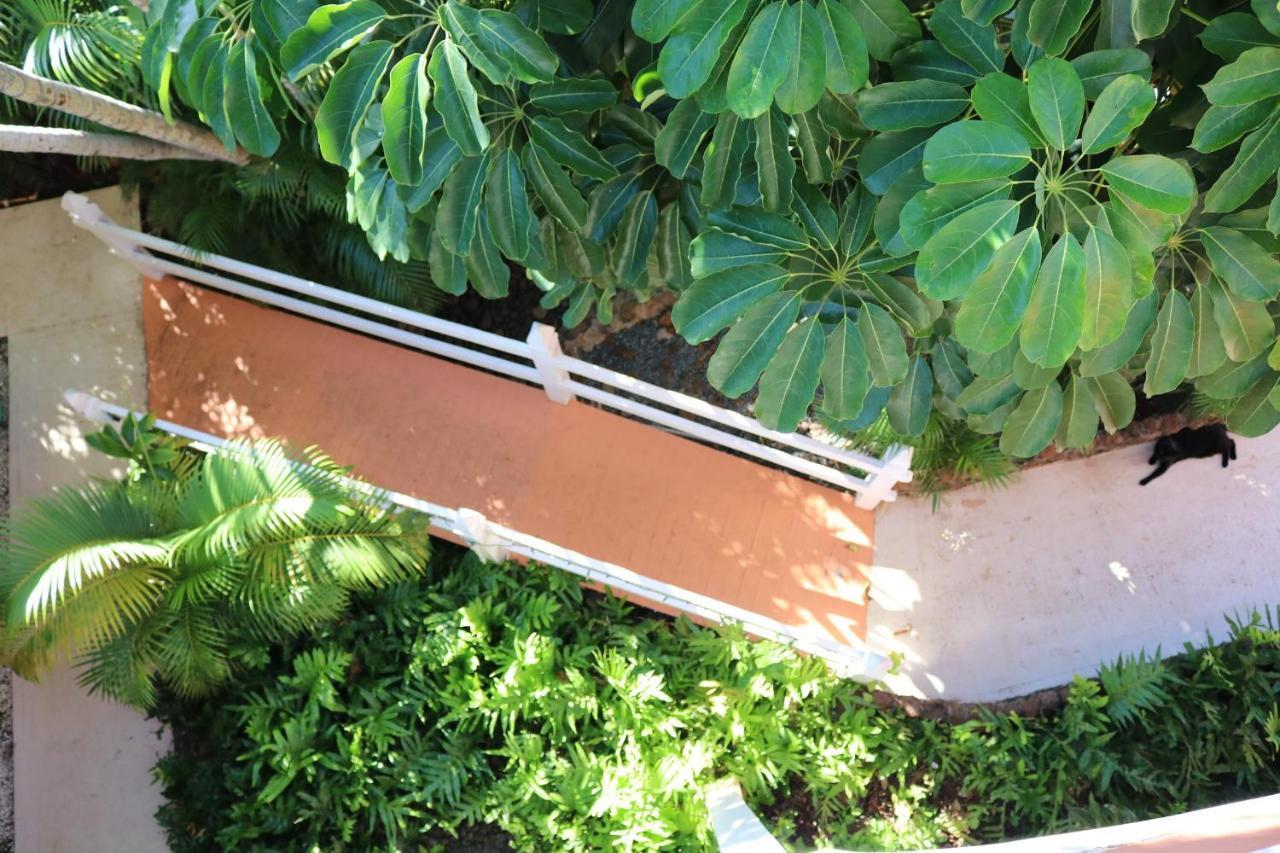 Villa Maui Garden Oasis Lahaina Exterior foto